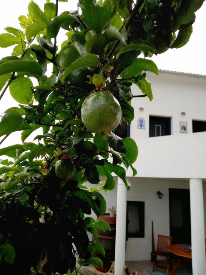Lazy Lizard By The Ocean Apartment Seixal  Exterior photo