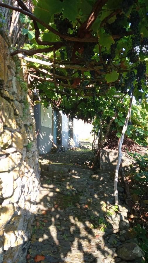 Lazy Lizard By The Ocean Apartment Seixal  Exterior photo